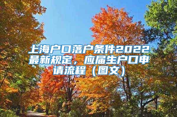 上海户口落户条件2022最新规定，应届生户口申请流程（图文）