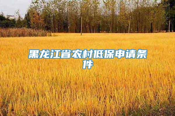 黑龙江省农村低保申请条件