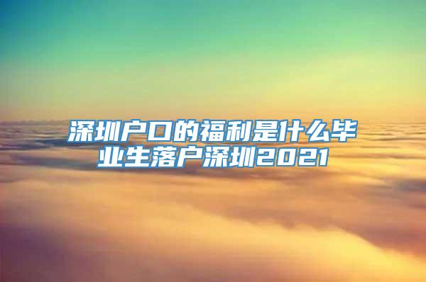 深圳户口的福利是什么毕业生落户深圳2021