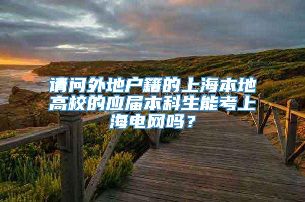 请问外地户籍的上海本地高校的应届本科生能考上海电网吗？