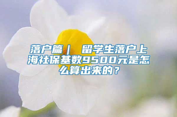 落户篇｜ 留学生落户上海社保基数9500元是怎么算出来的？