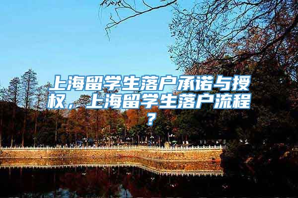 上海留学生落户承诺与授权，上海留学生落户流程？