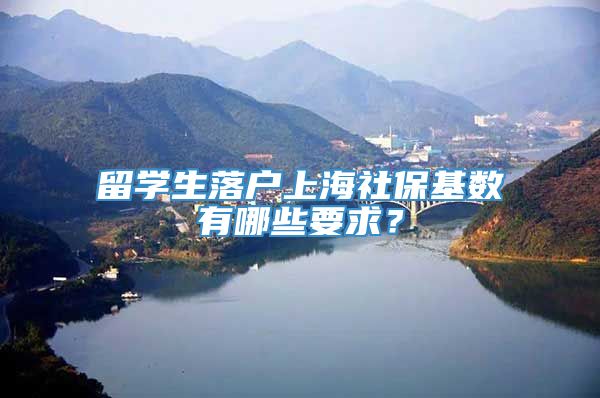 留学生落户上海社保基数有哪些要求？