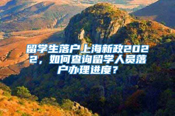 留学生落户上海新政2022，如何查询留学人员落户办理进度？