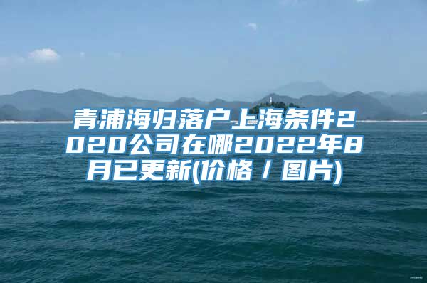 青浦海归落户上海条件2020公司在哪2022年8月已更新(价格／图片)