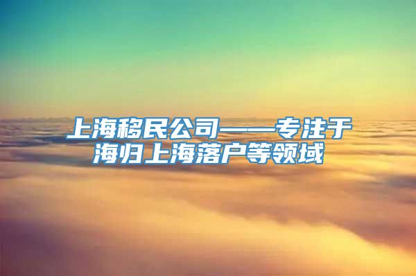 上海移民公司——专注于海归上海落户等领域