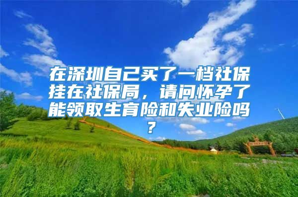 在深圳自己买了一档社保挂在社保局，请问怀孕了能领取生育险和失业险吗？
