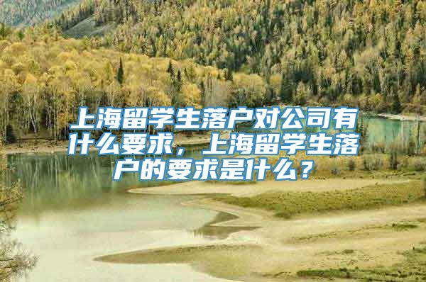 上海留学生落户对公司有什么要求，上海留学生落户的要求是什么？