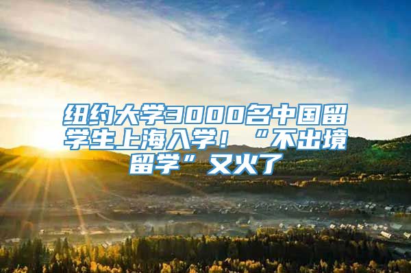纽约大学3000名中国留学生上海入学！“不出境留学”又火了