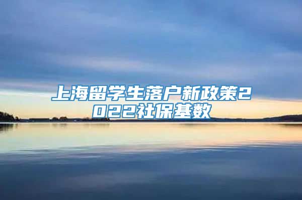 上海留学生落户新政策2022社保基数