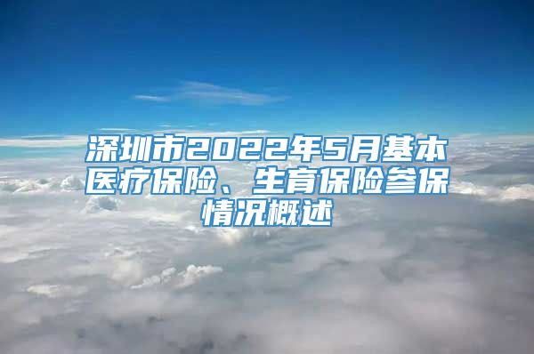 深圳市2022年5月基本医疗保险、生育保险参保情况概述