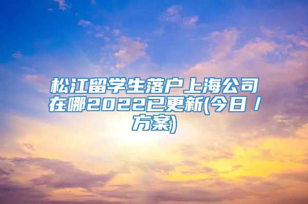 松江留学生落户上海公司在哪2022已更新(今日／方案)