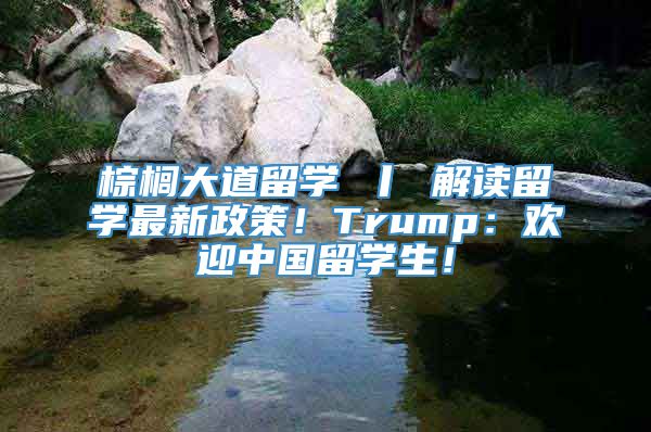 棕榈大道留学 丨 解读留学最新政策！Trump：欢迎中国留学生！