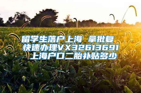 留学生落户上海 拿批复 快速办理VX32613691 上海户口二胎补贴多少