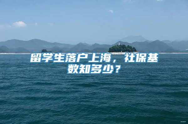 留学生落户上海，社保基数知多少？