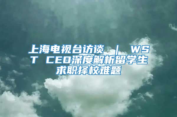 上海电视台访谈 ｜ WST CEO深度解析留学生求职择校难题
