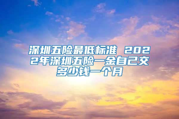 深圳五险最低标准 2022年深圳五险一金自己交多少钱一个月