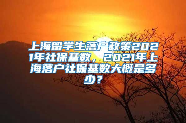 上海留学生落户政策2021年社保基数，2021年上海落户社保基数大概是多少？