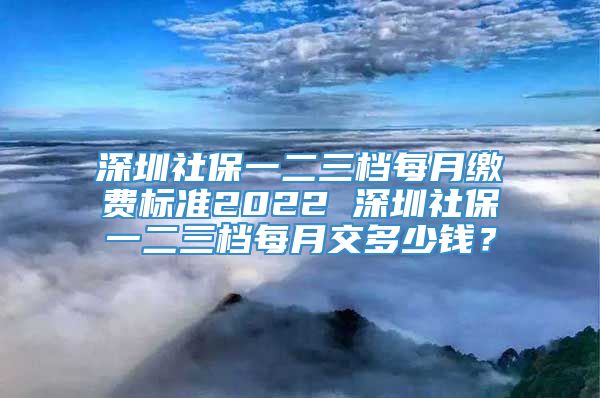 深圳社保一二三档每月缴费标准2022 深圳社保一二三档每月交多少钱？