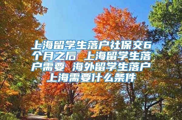 上海留学生落户社保交6个月之后 上海留学生落户需要 海外留学生落户上海需要什么条件