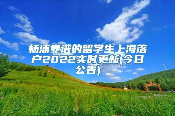 杨浦靠谱的留学生上海落户2022实时更新(今日公告)