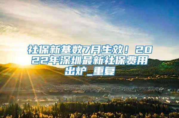 社保新基数7月生效！2022年深圳最新社保费用出炉_重复