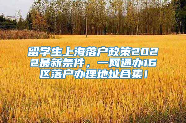 留学生上海落户政策2022最新条件，一网通办16区落户办理地址合集！