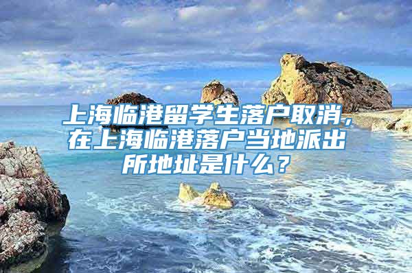 上海临港留学生落户取消，在上海临港落户当地派出所地址是什么？