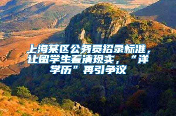 上海某区公务员招录标准，让留学生看清现实，“洋学历”再引争议