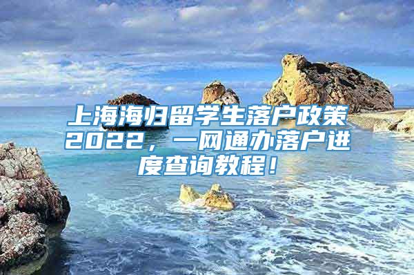 上海海归留学生落户政策2022，一网通办落户进度查询教程！