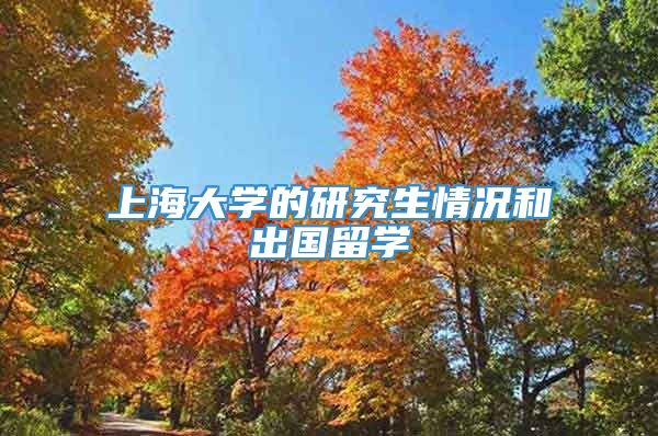 上海大学的研究生情况和出国留学