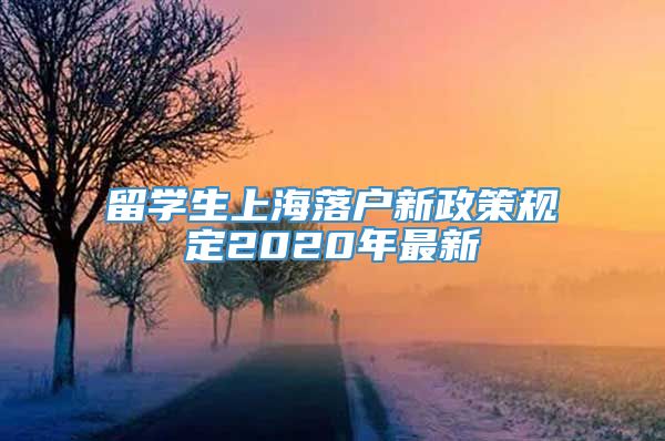 留学生上海落户新政策规定2020年最新