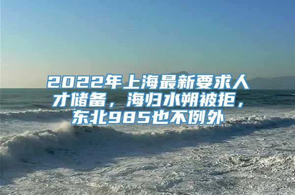 2022年上海最新要求人才储备，海归水朔被拒，东北985也不例外