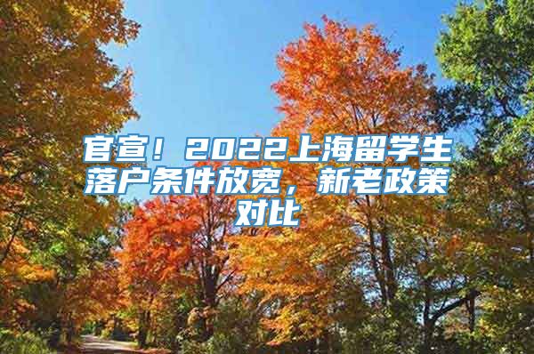 官宣！2022上海留学生落户条件放宽，新老政策对比