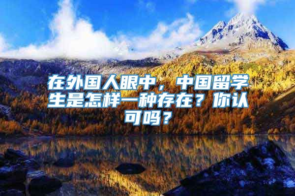 在外国人眼中，中国留学生是怎样一种存在？你认可吗？