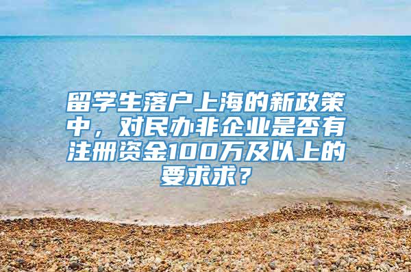 留学生落户上海的新政策中，对民办非企业是否有注册资金100万及以上的要求求？