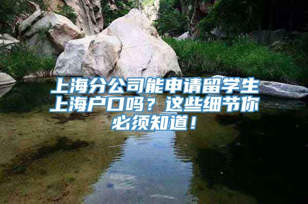 上海分公司能申请留学生上海户口吗？这些细节你必须知道！