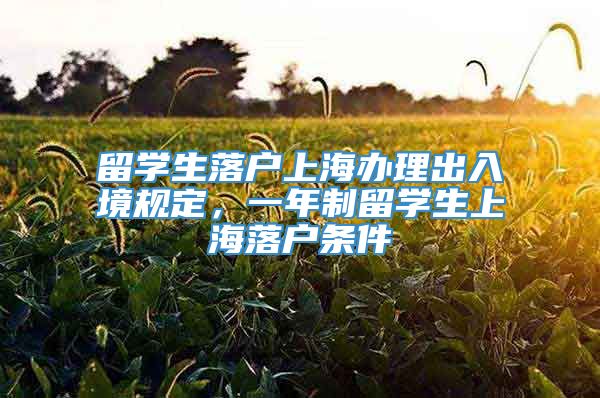 留学生落户上海办理出入境规定，一年制留学生上海落户条件