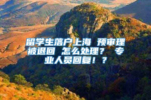 留学生落户上海 预审理被退回 怎么处理？ 专业人员回复！？