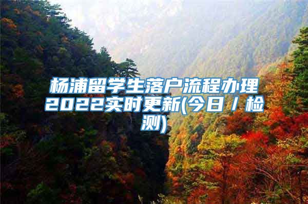 杨浦留学生落户流程办理2022实时更新(今日／检测)