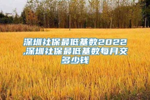 深圳社保最低基数2022,深圳社保最低基数每月交多少钱