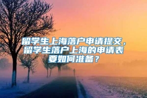 留学生上海落户申请提交，留学生落户上海的申请表要如何准备？