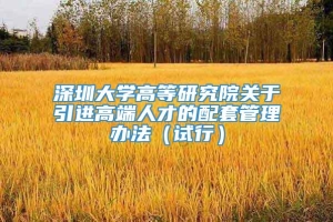 深圳大学高等研究院关于引进高端人才的配套管理办法（试行）