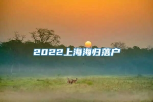 2022上海海归落户