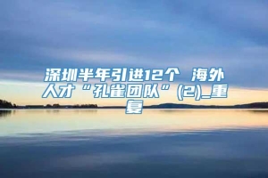 深圳半年引进12个 海外人才“孔雀团队”(2)_重复
