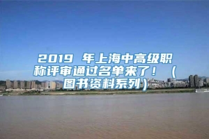 2019 年上海中高级职称评审通过名单来了！（图书资料系列）