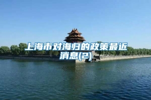 上海市对海归的政策最近消息(2)