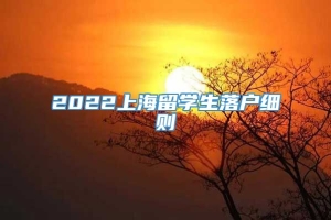 2022上海留学生落户细则