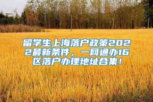 留学生上海落户政策2022最新条件，一网通办16区落户办理地址合集！