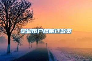 深圳市户籍随迁政策